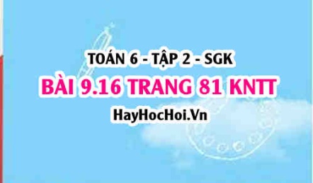 Bài 9.16 trang 81 Toán 6 Tập 2 Kết nối tri thức
